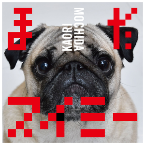 在线观看免费视频一区
