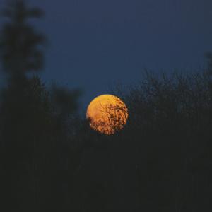 在线观看免费视频一区
