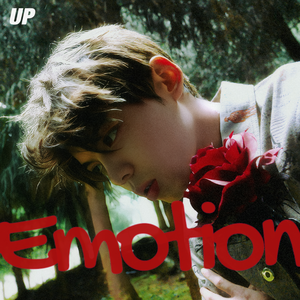 在线观看免费视频一区
