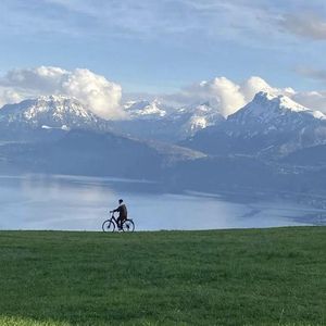 在线观看免费视频一区
